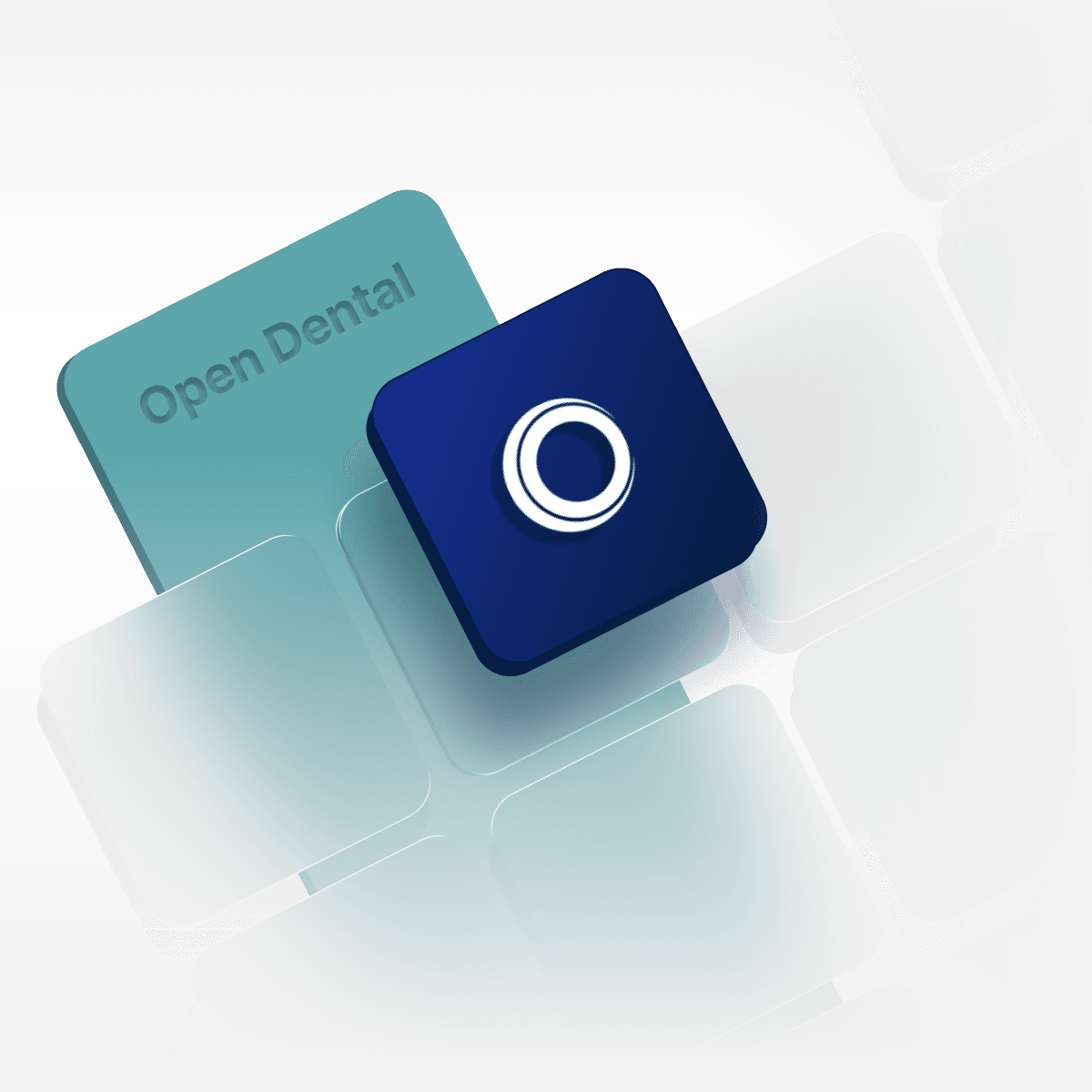 The Best Companion for